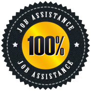 100% Job Assistance