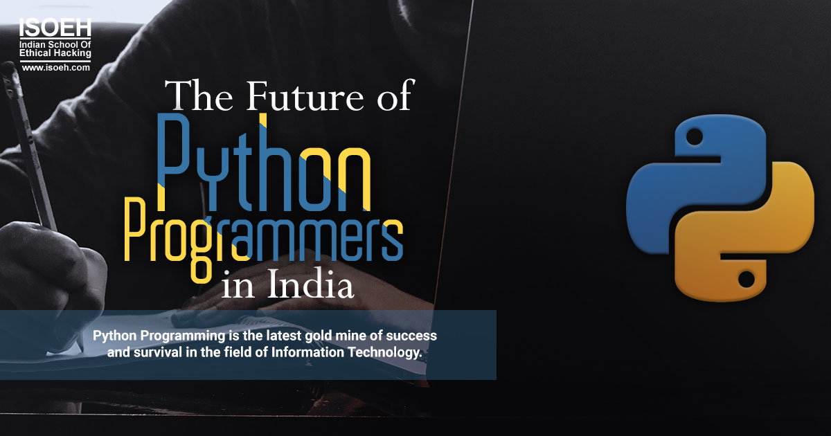 The Future of Python Programmers in India