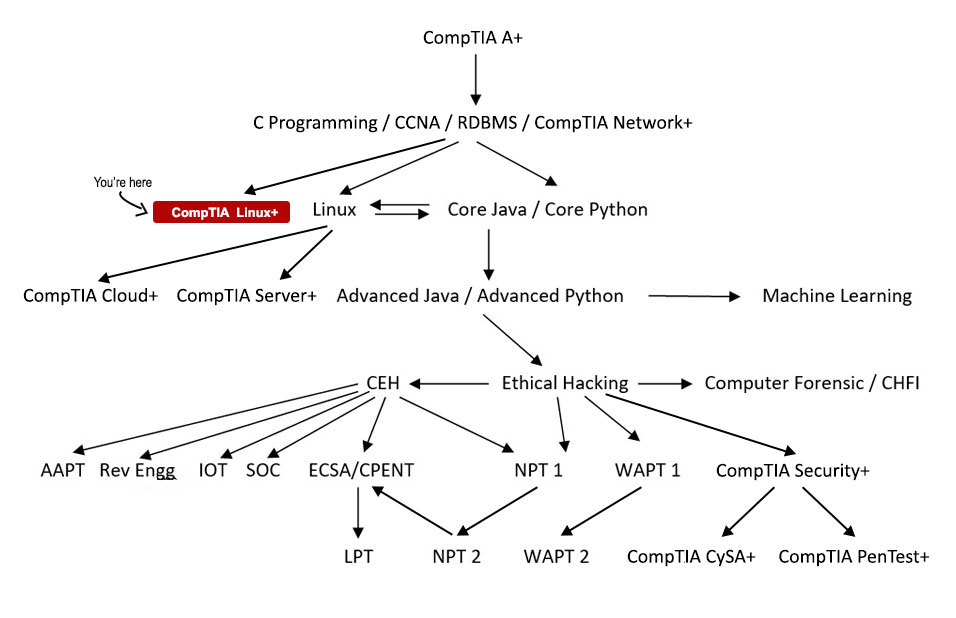 CompTIA Linux+ Course Path