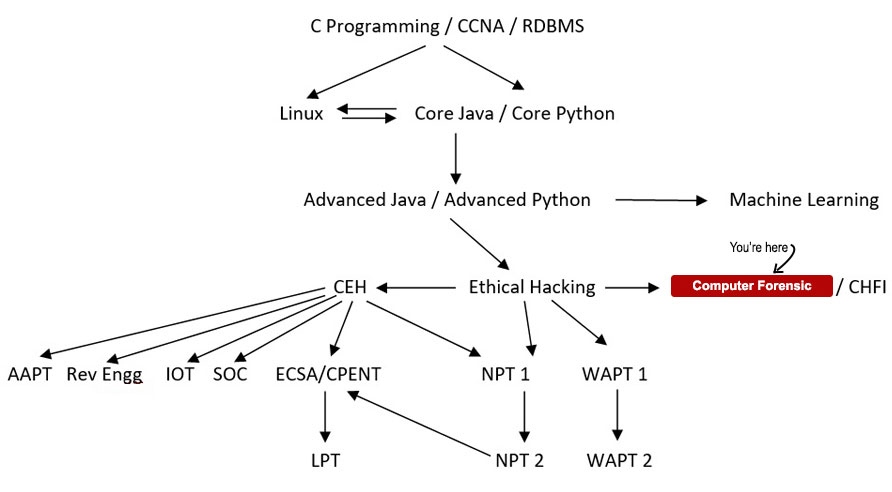 Computer Forensic Course Path