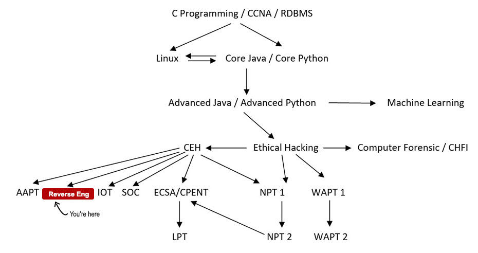 Reverse Engineering & Malware Analysis Course Path